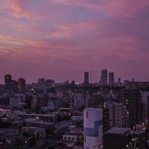 可以看黄色的软件
